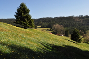 Chalet vosges location de vacances dans un chalet des vosges (grand valtin, 88)